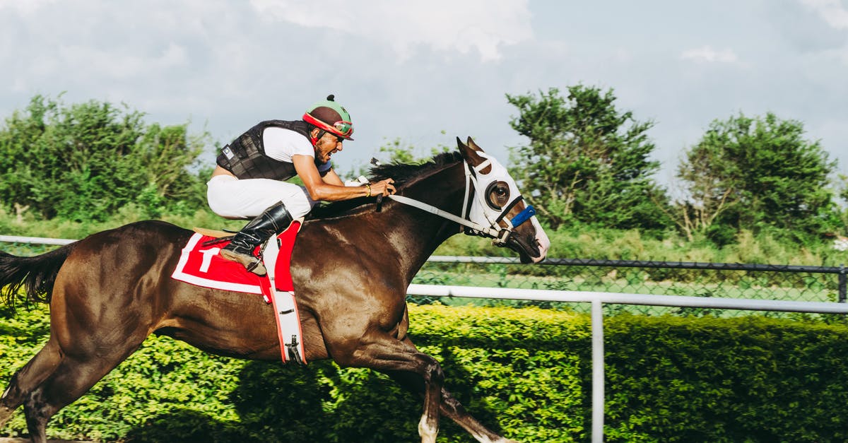 Overstay in USA - course of action? - Man Riding Horse Overstay in USA - course of action? - Man Riding Horse