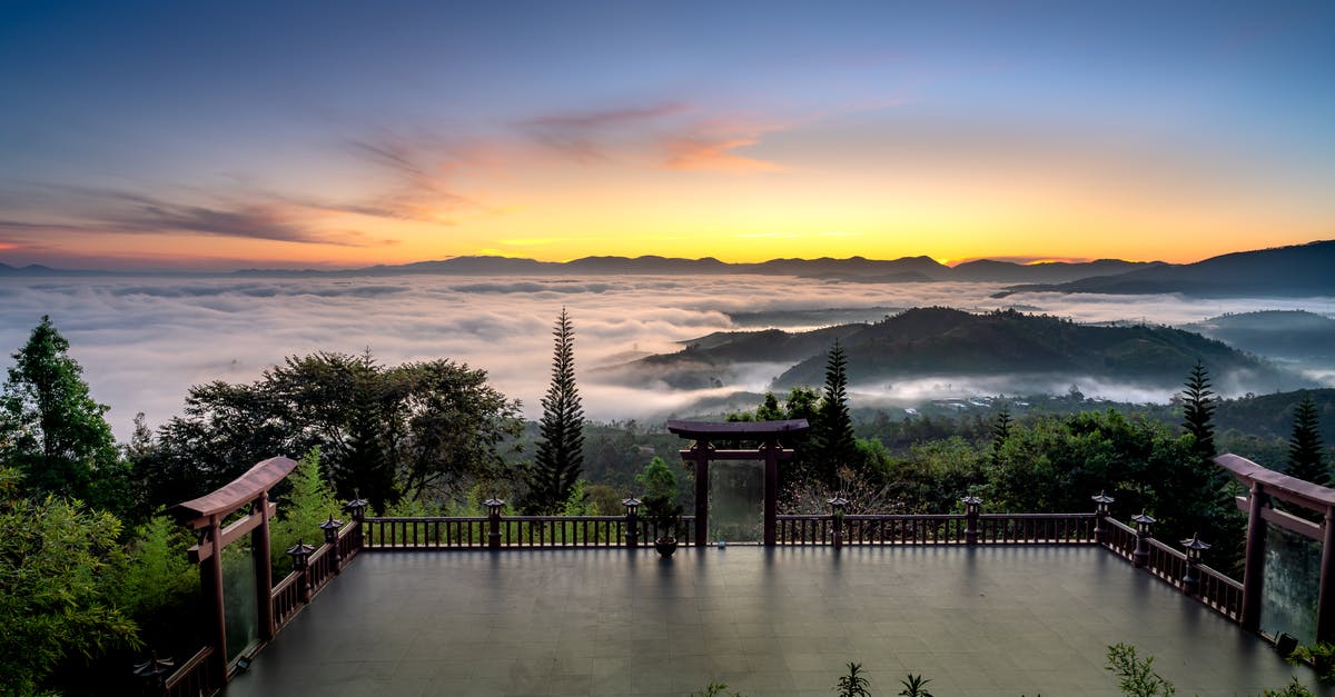 Overstaying visa in Vietnam by 5(!) minutes - Green Trees Near Body of Water during Sunset Overstaying visa in Vietnam by 5(!) minutes - Green Trees Near Body of Water during Sunset