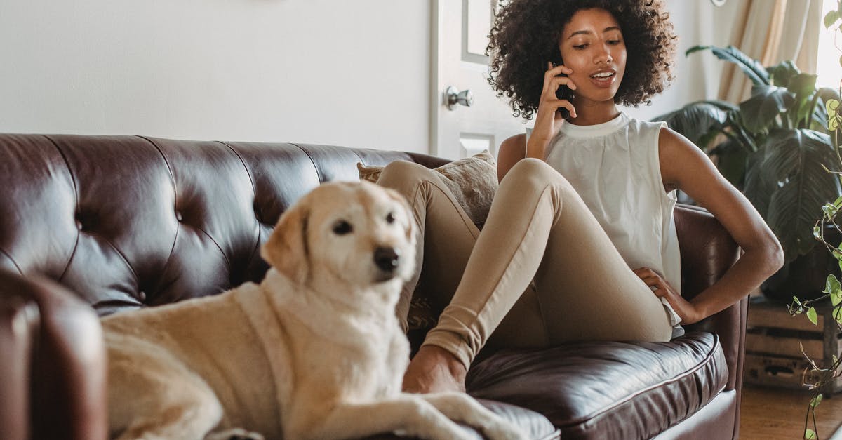 Owner of apartment has taken money before the agreed date - Full body of African American female owner having conversation on mobile phone while resting on couch with Labrador Retriever Owner of apartment has taken money before the agreed date - Full body of African American female owner having conversation on mobile phone while resting on couch with Labrador Retriever