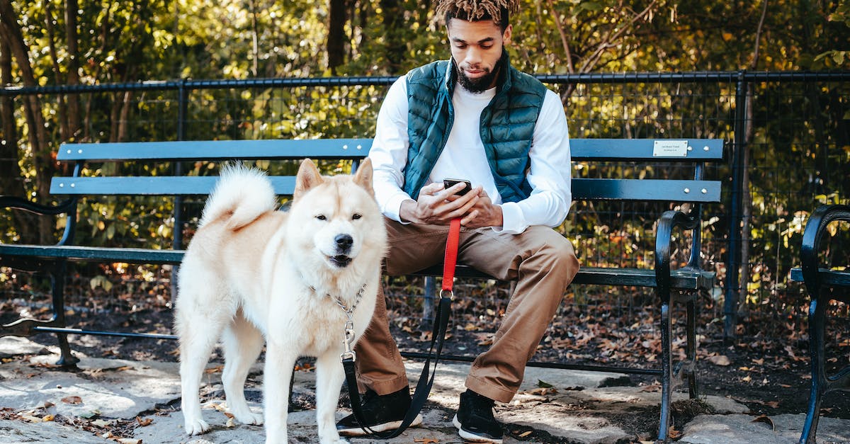 Parking via SMS in Sofia, Bulgaria - Concentrated ethnic guy browsing smartphone while resting in park with obedient dog Parking via SMS in Sofia, Bulgaria - Concentrated ethnic guy browsing smartphone while resting in park with obedient dog