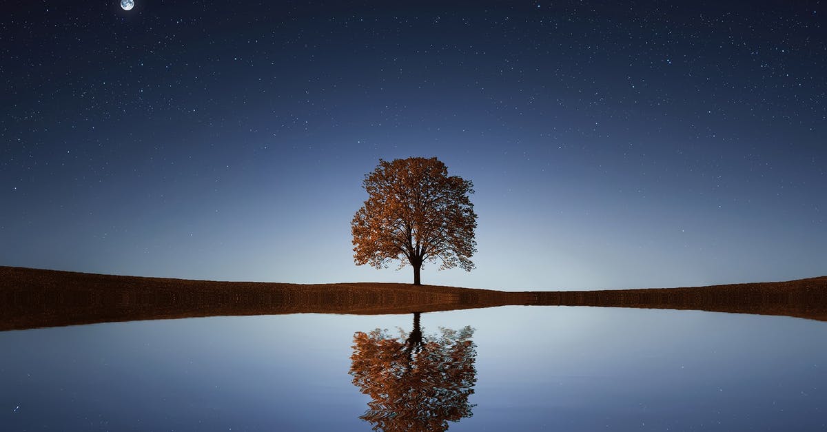 passing a night in a transit airport in Schengen area the day of expiration of my visa - Green Tree passing a night in a transit airport in Schengen area the day of expiration of my visa - Green Tree