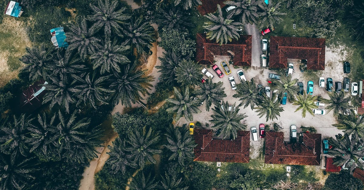 Passport control location when travelling from Disneyland Resort (Marne-la-Vallée/Chessy) by train to London [duplicate] - Drone view of similar villas with red roofs located on street with parked colorful cars surrounded by green palm trees in tropical country