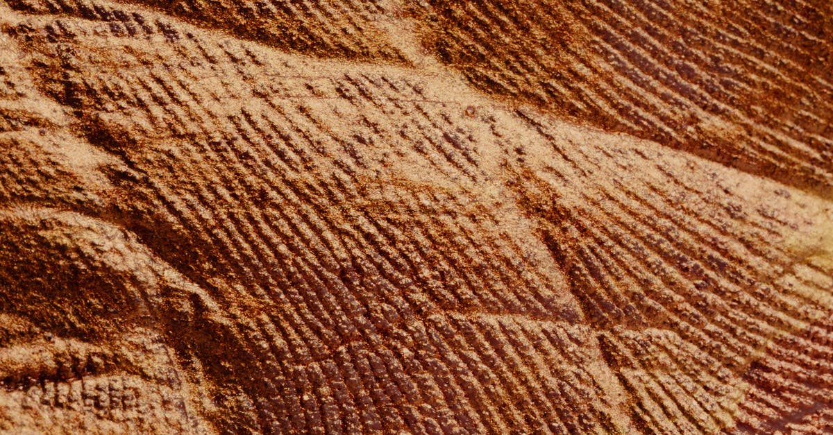 Passport outer cover with slight damage - Cracked textured surface of brown color Passport outer cover with slight damage - Cracked textured surface of brown color