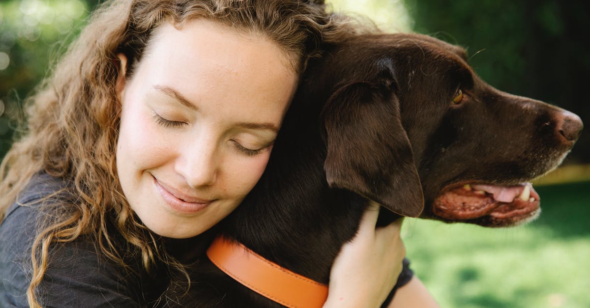 Pet Birds flying to US via Heathrow with owner on BA - Mindful woman embracing bird dog on lawn Pet Birds flying to US via Heathrow with owner on BA - Mindful woman embracing bird dog on lawn