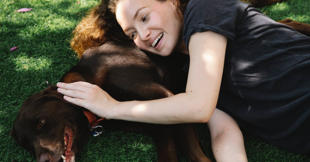 Pet Birds flying to US via Heathrow with owner on BA - Cheerful adult woman in t shirt stroking bird dog while lying on meadow in summer Pet Birds flying to US via Heathrow with owner on BA - Cheerful adult woman in t shirt stroking bird dog while lying on meadow in summer