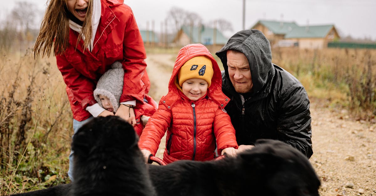 Pets outside of cages/kennels on planes? - A Family Outside with Their Pet Dogs Pets outside of cages/kennels on planes? - A Family Outside with Their Pet Dogs