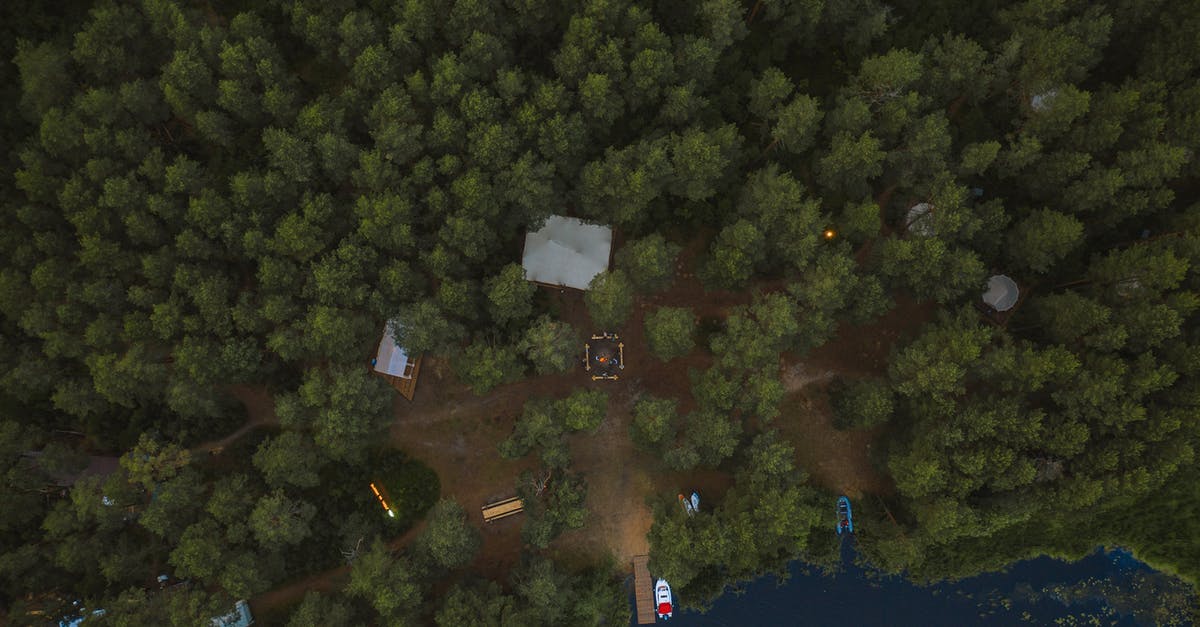 Pitching own tents at Sambhar lake in Rajasthan? - Aerial View of Green Trees Surrounding a Campsite Pitching own tents at Sambhar lake in Rajasthan? - Aerial View of Green Trees Surrounding a Campsite