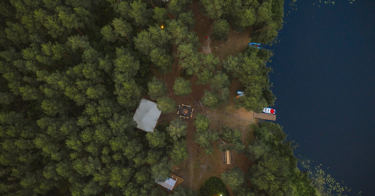 Pitching own tents at Sambhar lake in Rajasthan? - Aerial View of Green Trees Near a Campsite Pitching own tents at Sambhar lake in Rajasthan? - Aerial View of Green Trees Near a Campsite
