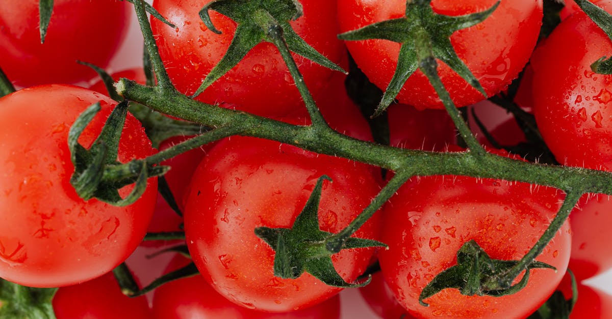 Place to store a few items in Ayia Napa on day trip from Nicosia (Cyprus) - Bunch of fresh ripe tomatoes on branch Place to store a few items in Ayia Napa on day trip from Nicosia (Cyprus) - Bunch of fresh ripe tomatoes on branch