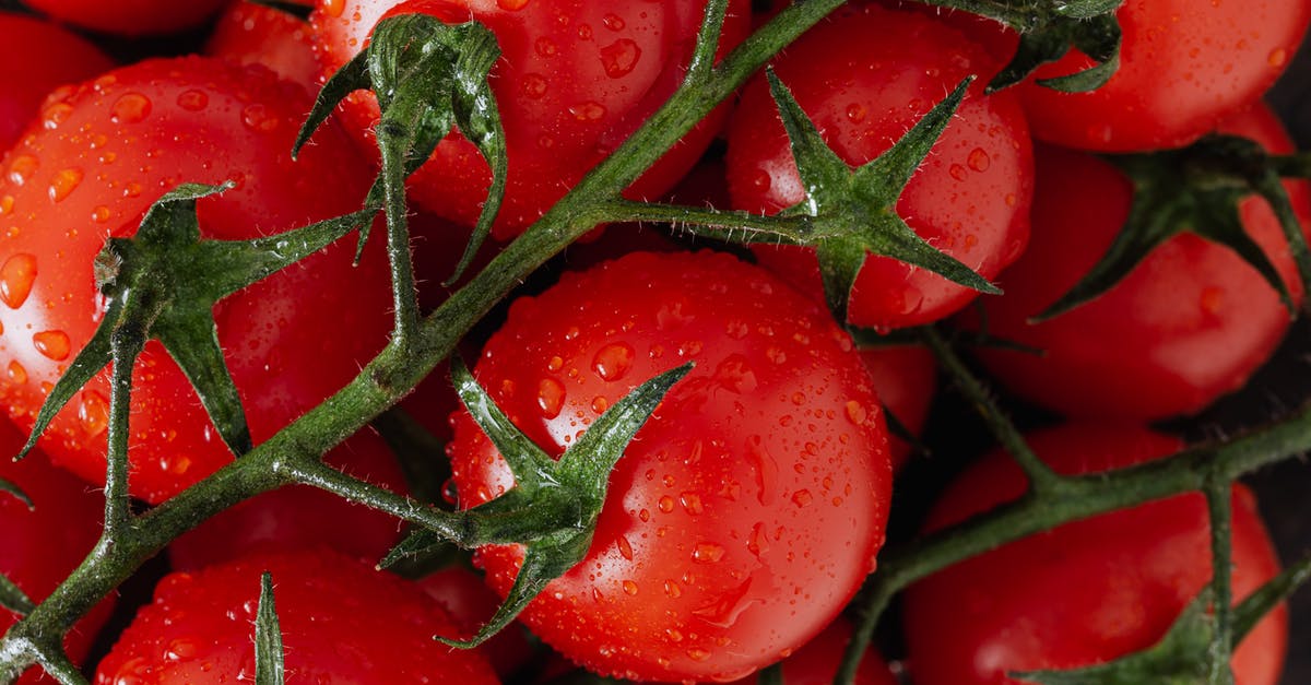 Place to store bags in Seattle for a few hours - Fresh ripe red tomatoes with water drops Place to store bags in Seattle for a few hours - Fresh ripe red tomatoes with water drops