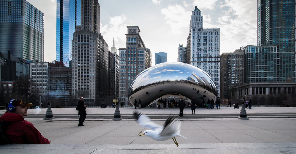 Polish citizen flying from Canada to Honolulu with a layover in Chicago [duplicate] - A Seagull Flying Near the Cloud Gate