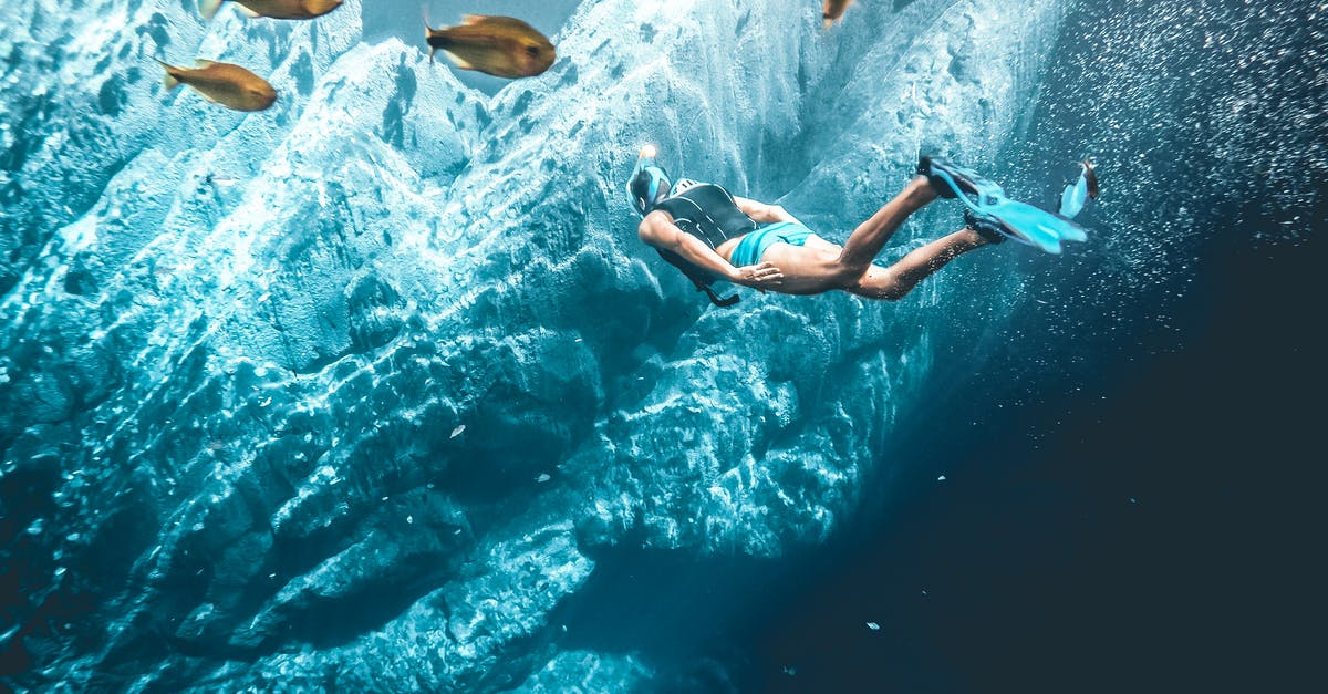 Portugal - snorkeling and fishing - Diver Swimming Underwater Portugal - snorkeling and fishing - Diver Swimming Underwater