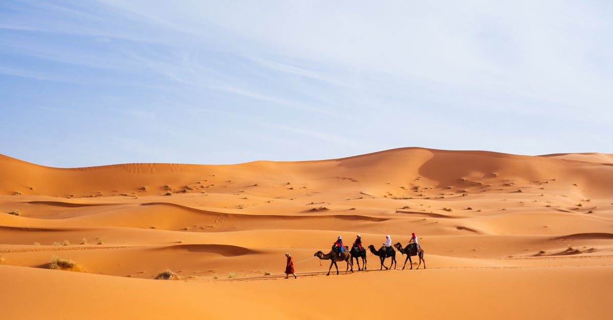 Precautions and Customs to observe when traveling in Morocco - People Riding Camels in the Sahara Desert Precautions and Customs to observe when traveling in Morocco - People Riding Camels in the Sahara Desert