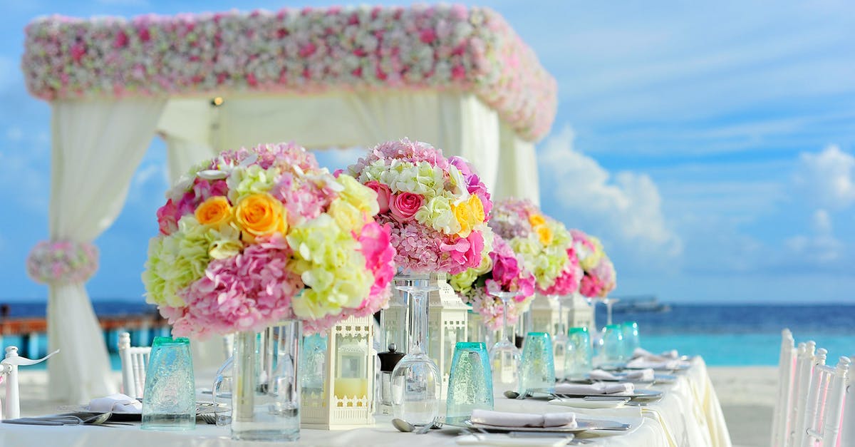 Price limits for self-arranged hotel after flight cancellation - Yellow and Pink Petaled Flowers on Table Near Ocean Under Blue Sky at Daytime Price limits for self-arranged hotel after flight cancellation - Yellow and Pink Petaled Flowers on Table Near Ocean Under Blue Sky at Daytime