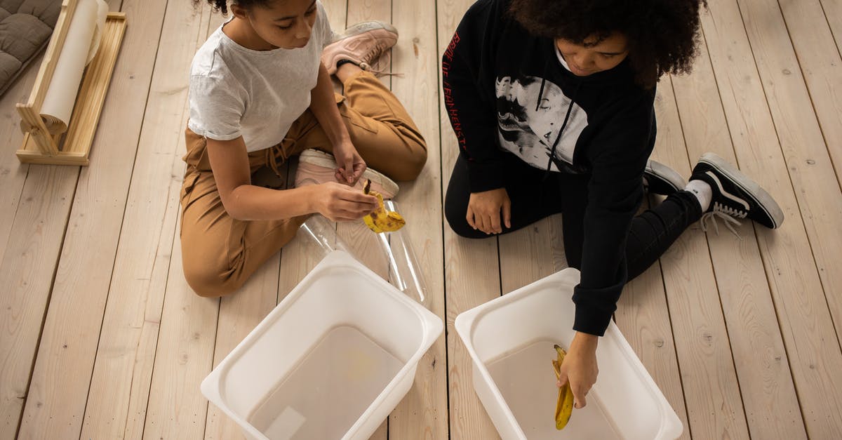 Processing of visa from Govt website vs VFS Global - Black mother and daughter sorting garbage into containers Processing of visa from Govt website vs VFS Global - Black mother and daughter sorting garbage into containers