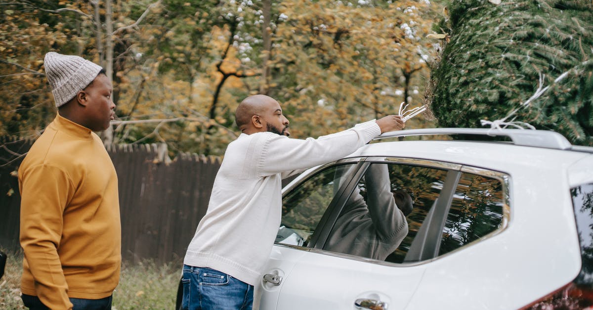 Processing time of a working holiday visa in New Zealand - Ethnic man tying fir tree on car roof near son Processing time of a working holiday visa in New Zealand - Ethnic man tying fir tree on car roof near son