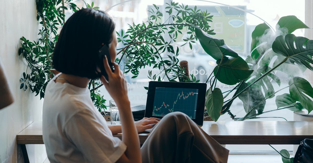 Proving your financial stability if you are a freelancer [duplicate] - Businesswoman in White Shirt Sitting on Chair while Having Phone Call