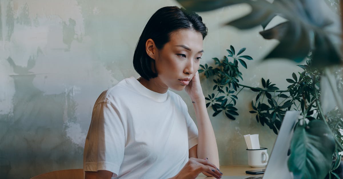 Proving your financial stability if you are a freelancer [duplicate] - Businesswoman in White Shirt Using Her Laptop