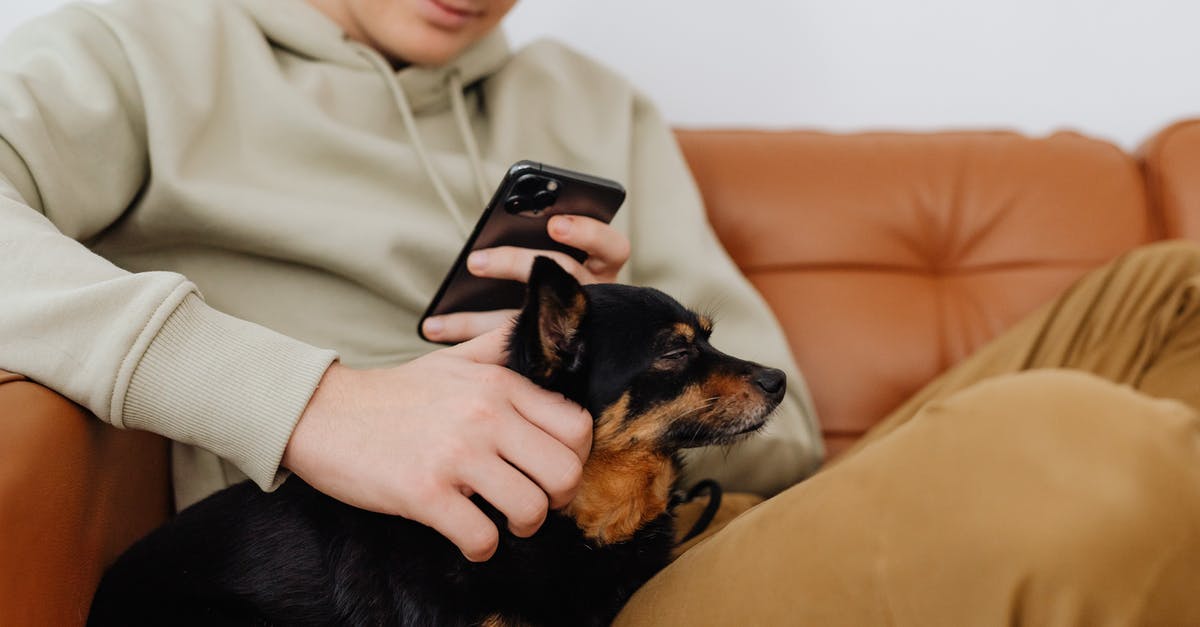Purchasing ticket for my dog [closed] - Black and Brown Short Coated Small Dog on Persons Lap