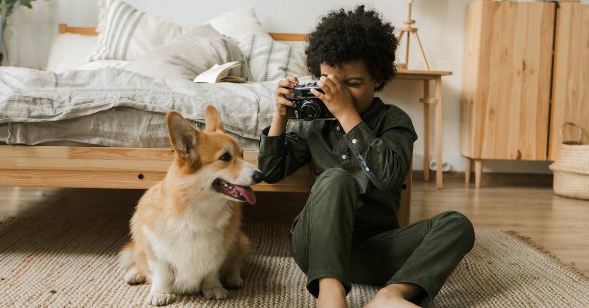 Reasons for not taking melatonin during flight? - Boy Taking Picture of Dog on Vintage Camera Reasons for not taking melatonin during flight? - Boy Taking Picture of Dog on Vintage Camera