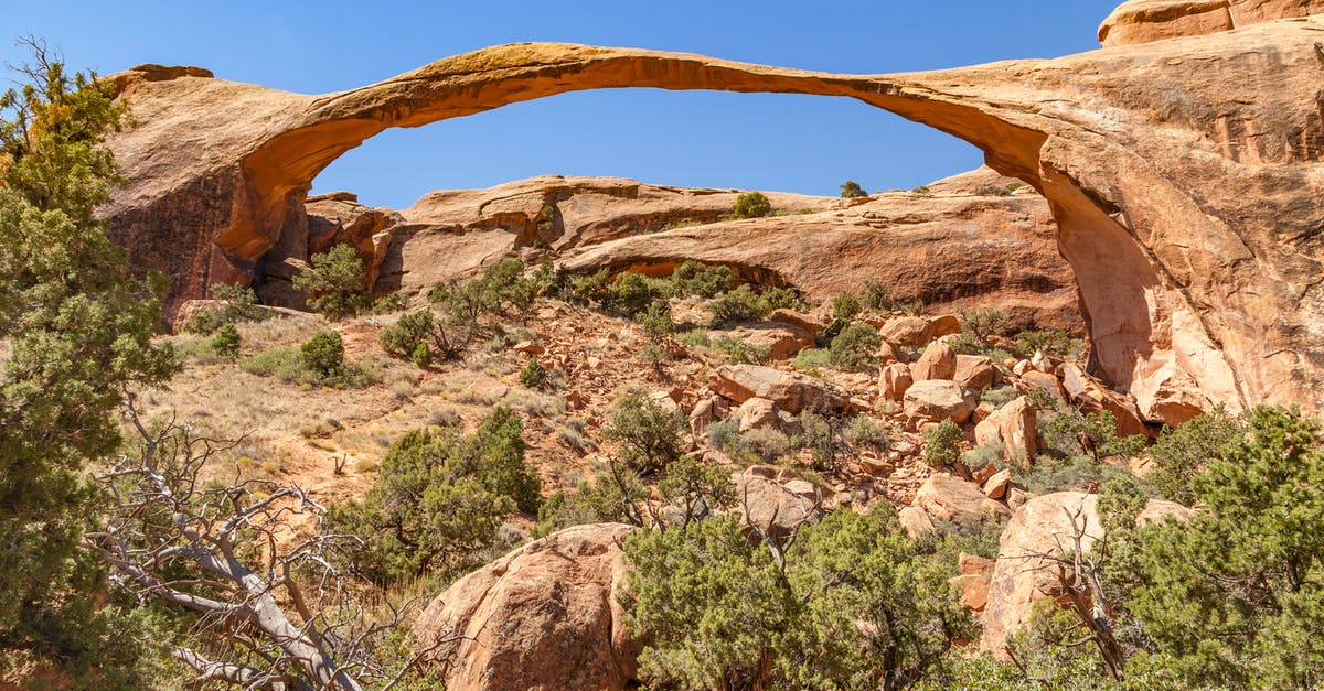 Rechecking checked in baggage when there's a stopover in the USA - Brown Wood Log on Brown Rock Formation Rechecking checked in baggage when there's a stopover in the USA - Brown Wood Log on Brown Rock Formation