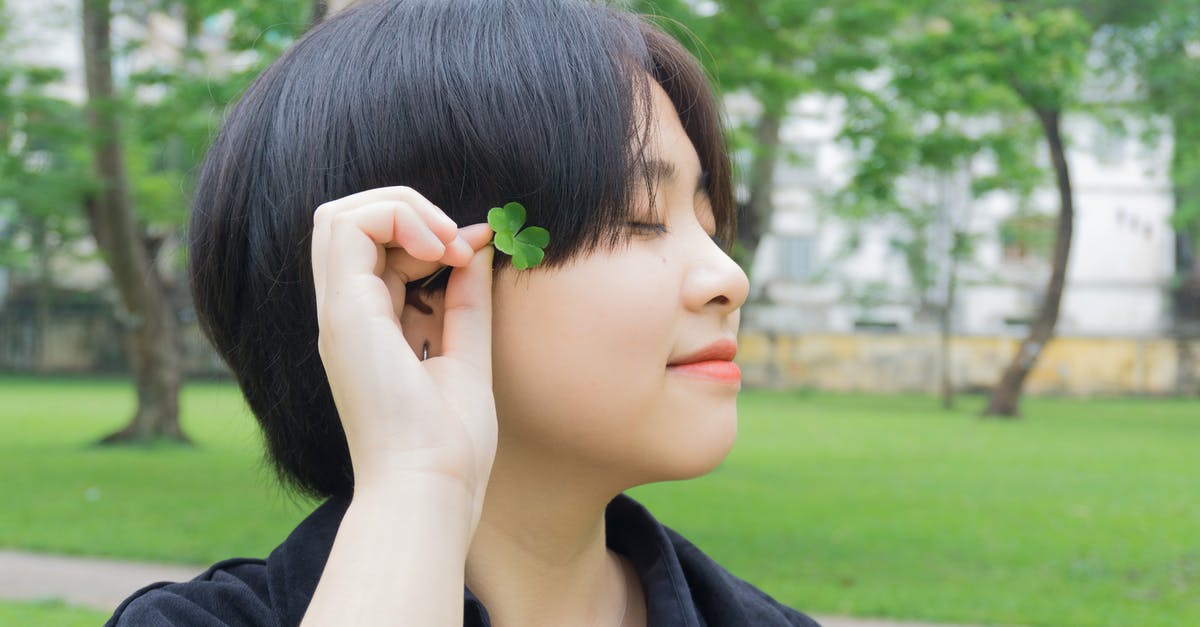 Refused UK short term student visa [closed] - Woman in Black Jacket Holding Green Leaf on Her Ear