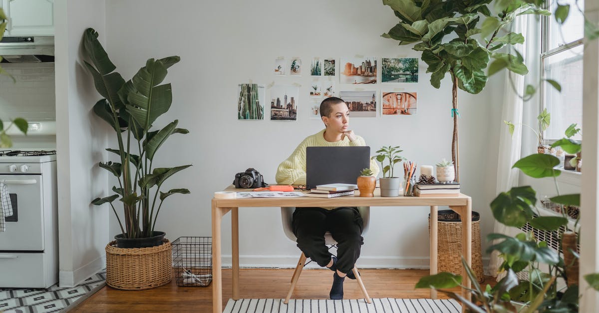 Remote independent contractor needs short onsite training in US - what is the Visa requirement? - Woman looking at window while working on laptop Remote independent contractor needs short onsite training in US - what is the Visa requirement? - Woman looking at window while working on laptop