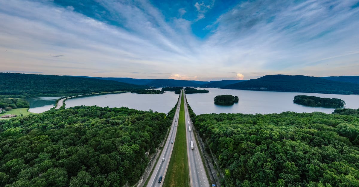 Renting a car from Detroit to Tennessee or Florida [duplicate] - Road Between Trees