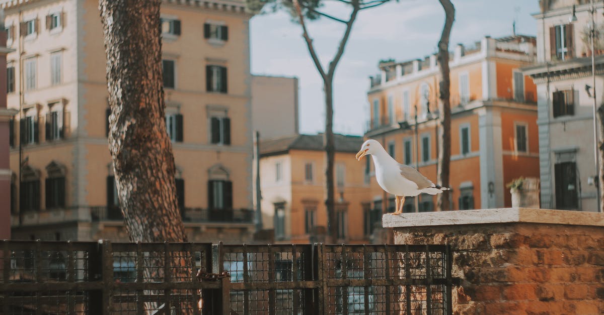 Renting an apartment in Bergamo, Italy - Perched Seagull