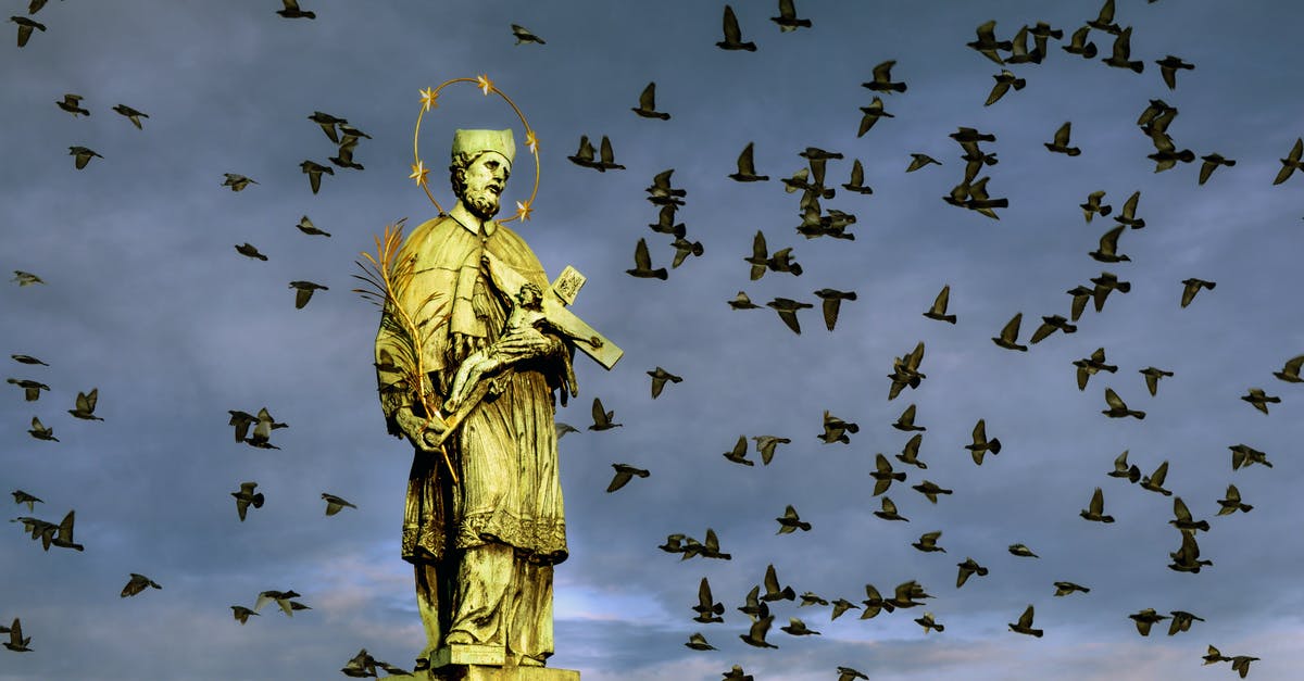 Resetting ESTA by flying to Dominican Republic [duplicate] - Flock of Birds Flying Over the Statue of St. John of Nepomuk