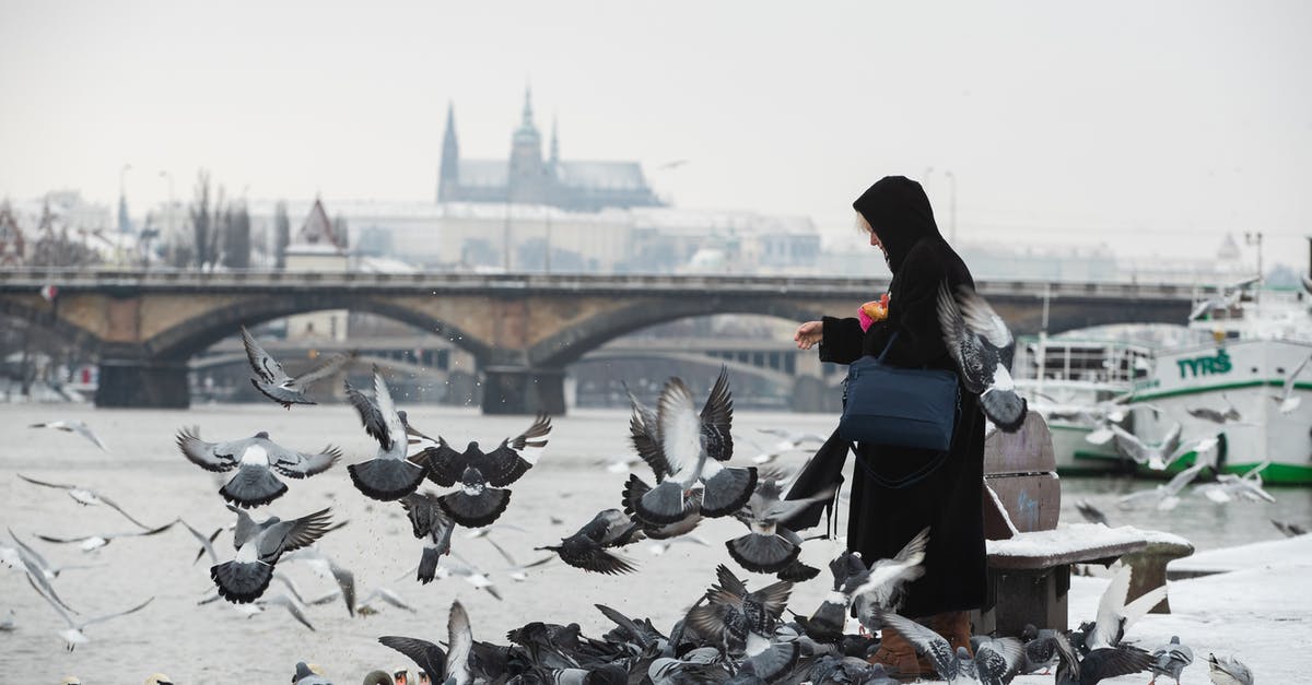 Resetting ESTA by flying to Dominican Republic [duplicate] - Person in Hoodie Jacket with Pigeons