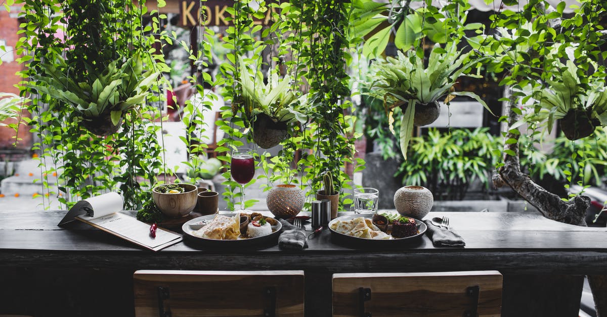 Restaurant in Paris decorated in kitchen utensils - Lunch for two placed on table against window with plants Restaurant in Paris decorated in kitchen utensils - Lunch for two placed on table against window with plants