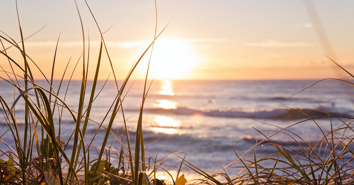 Return ticket to travel to Australia from Tonga? [closed] - Close-Up Photo of Grass