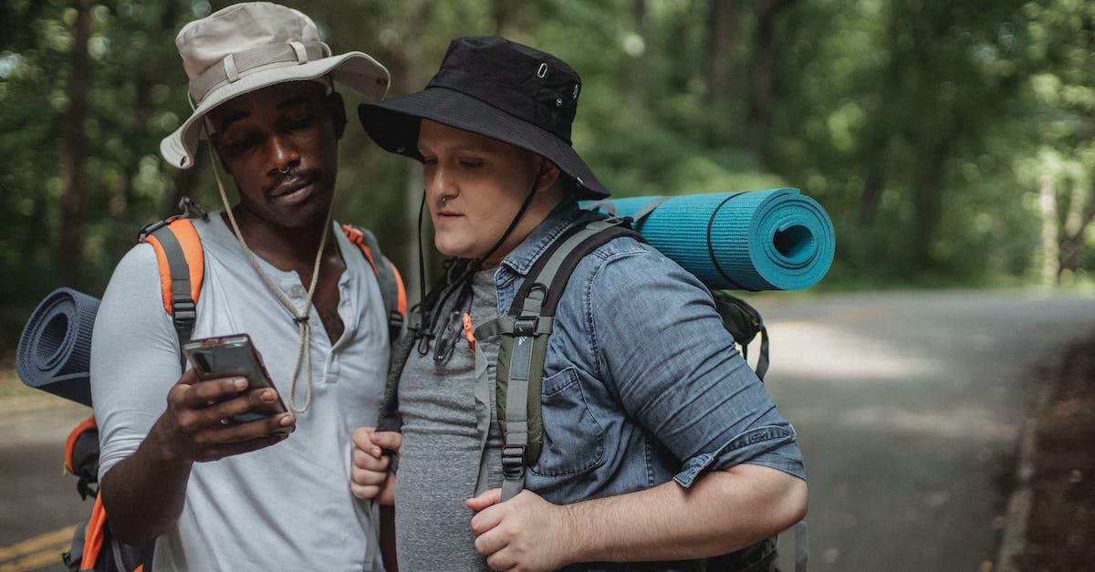 Road trip planner online - Young multiethnic tourists with hiking equipment surfing internet on cellphone on roadway against trees Road trip planner online - Young multiethnic tourists with hiking equipment surfing internet on cellphone on roadway against trees