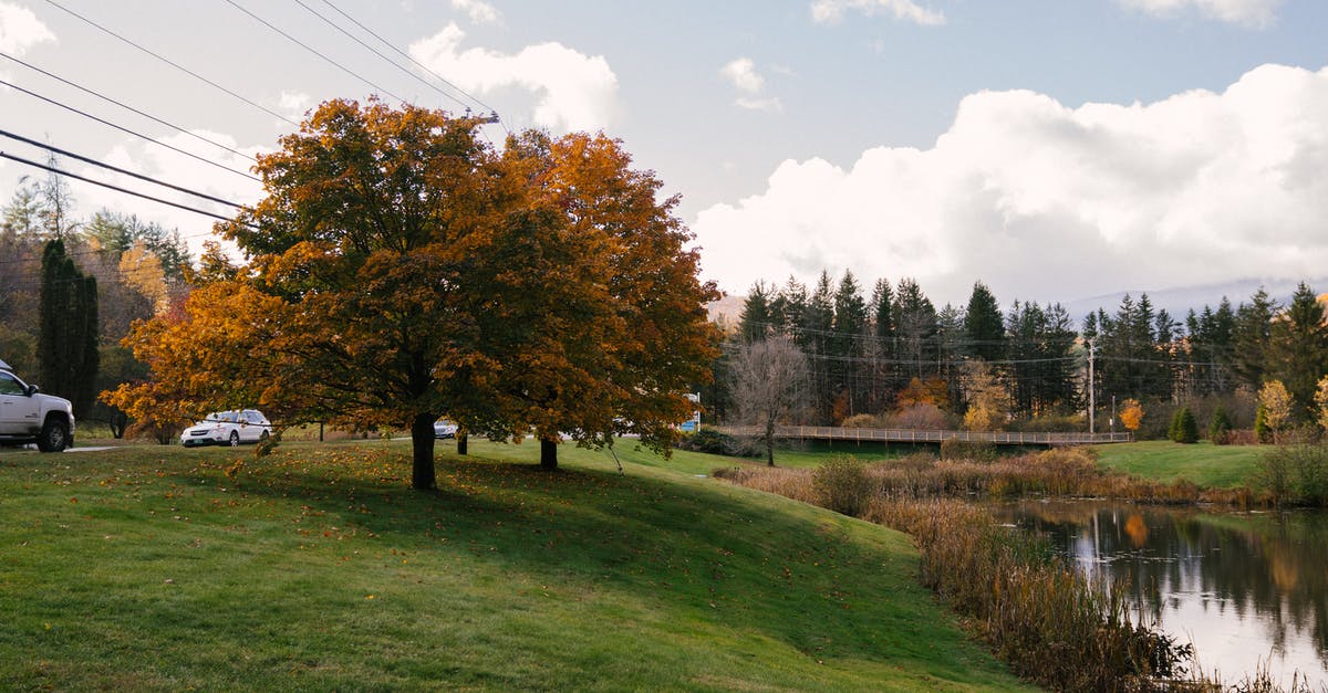 Roadtrip coast to coast in the USA, let someone else drive car back - Vehicles driving on road near green lawn with trees and calm pond in village in autumn day Roadtrip coast to coast in the USA, let someone else drive car back - Vehicles driving on road near green lawn with trees and calm pond in village in autumn day