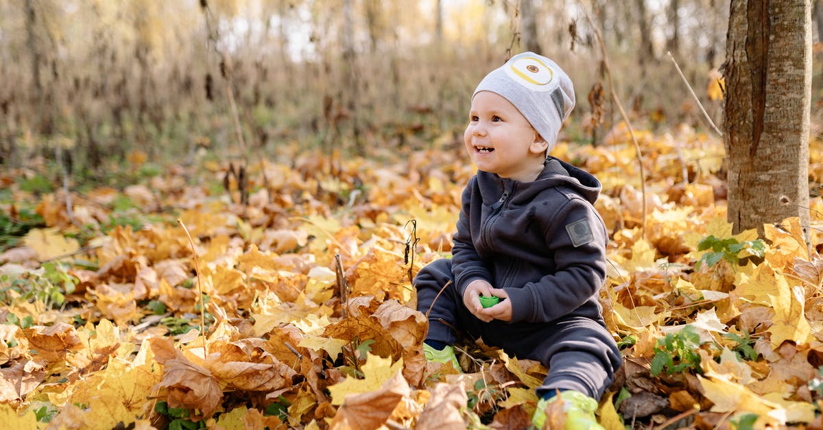 Roissybus - No more child fare, but how about baby? - A Baby Sitting on  Fallen Leaves 
