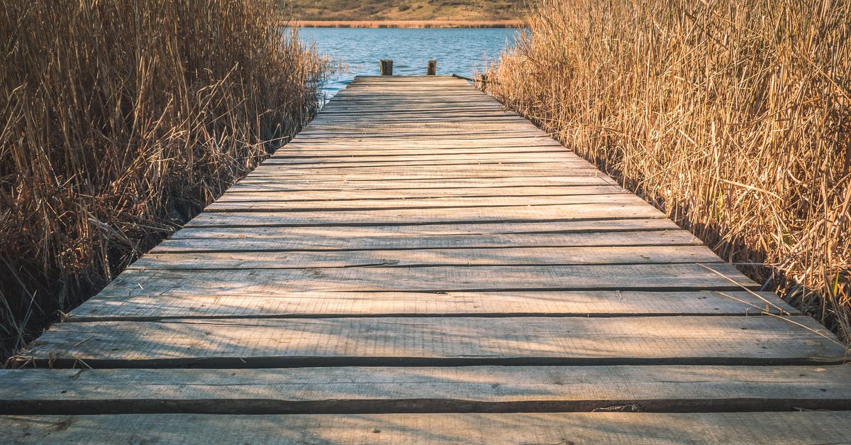 Romania - Travel Non EU Citizen - Brown Wooden Dock With Brown Grasses Romania - Travel Non EU Citizen - Brown Wooden Dock With Brown Grasses