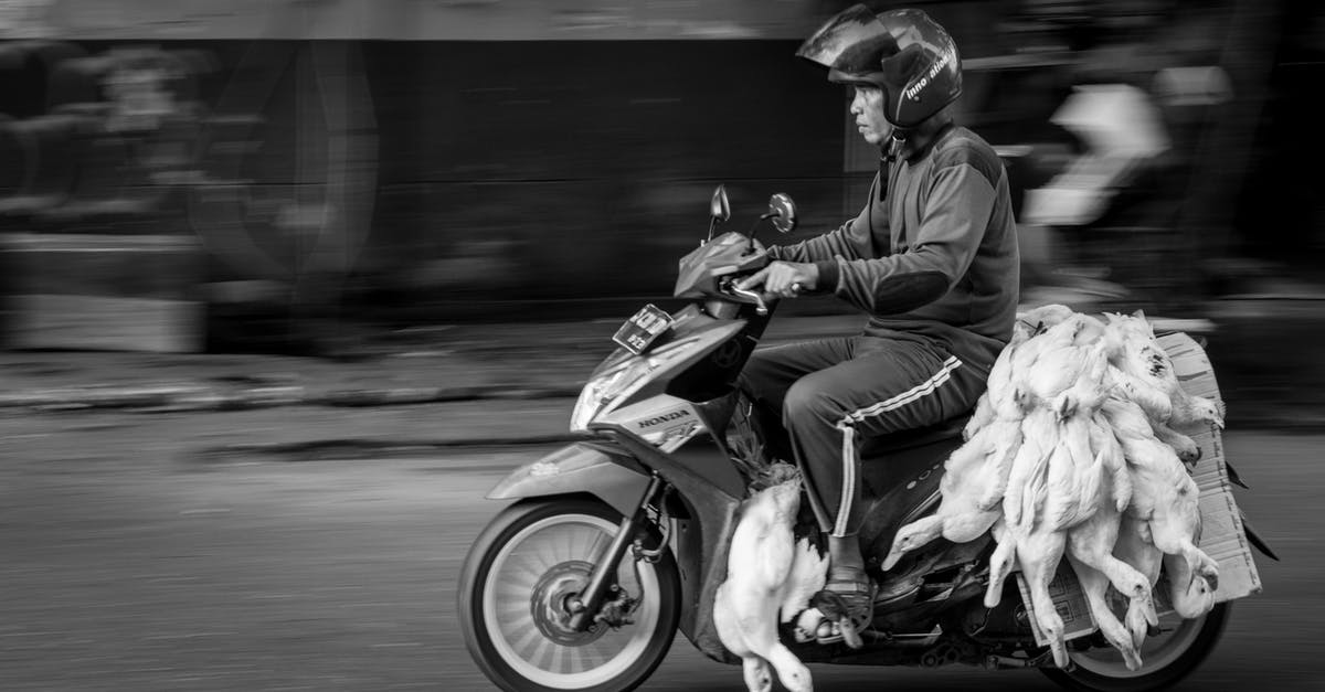 Route planner for moped in Norway and Sweden? - Black and white side view of ethnic motorcyclist in protective helmet riding motorbike with heap of dead geese on asphalt city road Route planner for moped in Norway and Sweden? - Black and white side view of ethnic motorcyclist in protective helmet riding motorbike with heap of dead geese on asphalt city road