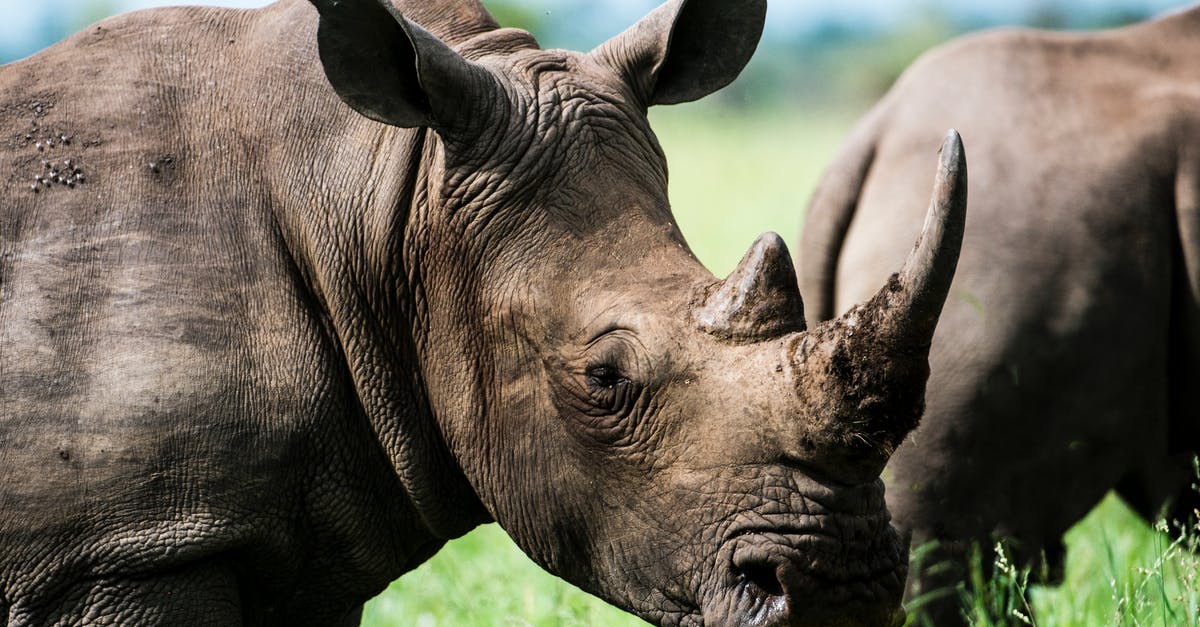 Rules for Lithium batteries in large quantities? [closed] - Gray Rhino in Macro Photography