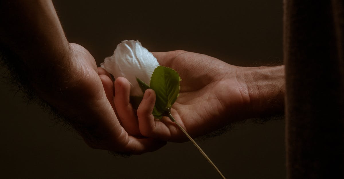 Ryanair wants us to change our booking but we want a full refund. Should we wait until they cancel the flight? [closed] - Person Holding White and Green Flower