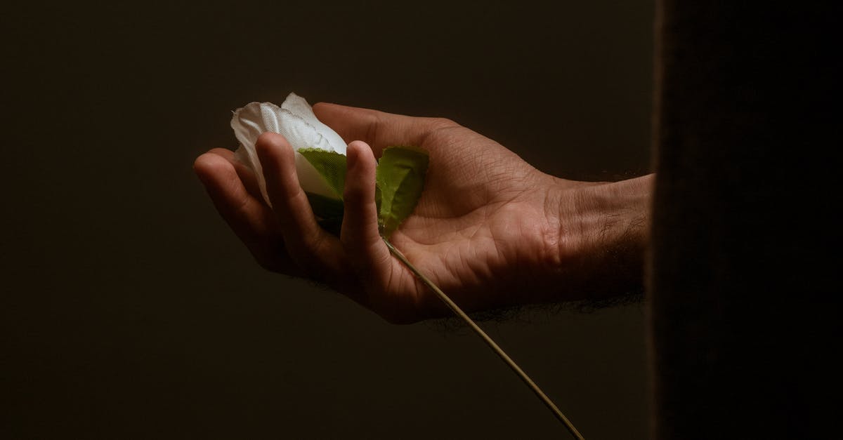 Ryanair wants us to change our booking but we want a full refund. Should we wait until they cancel the flight? [closed] - Person Holding White Paper With Green Leaves