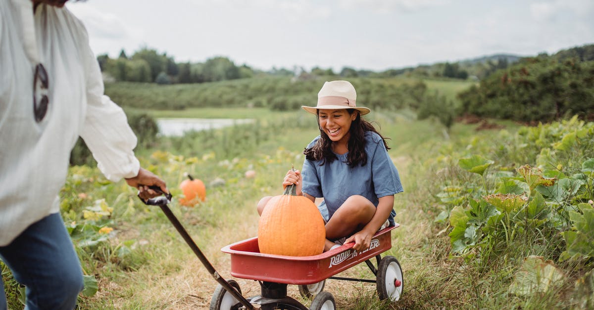 Safely disposing of agricultural contraband - Woman in Blue Denim Jacket and White Cowboy Hat Sitting on Red and Black Push Cart Safely disposing of agricultural contraband - Woman in Blue Denim Jacket and White Cowboy Hat Sitting on Red and Black Push Cart