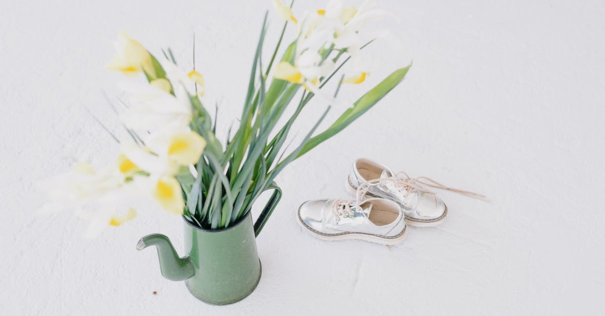 Save pitcher filters, what filters chemicals and metals from water, for separated British taps without space around it? - Flower bouquet in pitcher near glossy sneakers on white background Save pitcher filters, what filters chemicals and metals from water, for separated British taps without space around it? - Flower bouquet in pitcher near glossy sneakers on white background