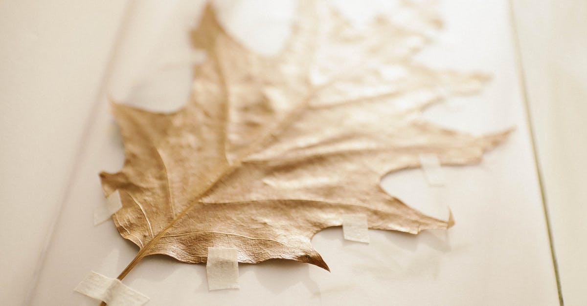 Scan the visa or the bio page at the ePassport Gates at Manchester Airport? - Brown Dried Leaf Scan the visa or the bio page at the ePassport Gates at Manchester Airport? - Brown Dried Leaf