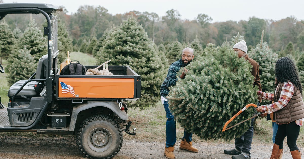 Schengen ATV required for Toronto > New Delhi, via Lisbon and Vienna? [duplicate] - Unrecognizable black family carrying fir tree near ATV on farm