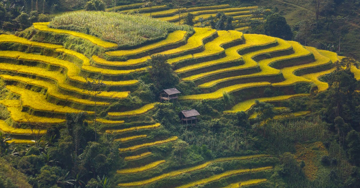 Schengen Tourism Visa Field 20 "Residence in a country other than the country of current nationality" - Green Stair Rice Field