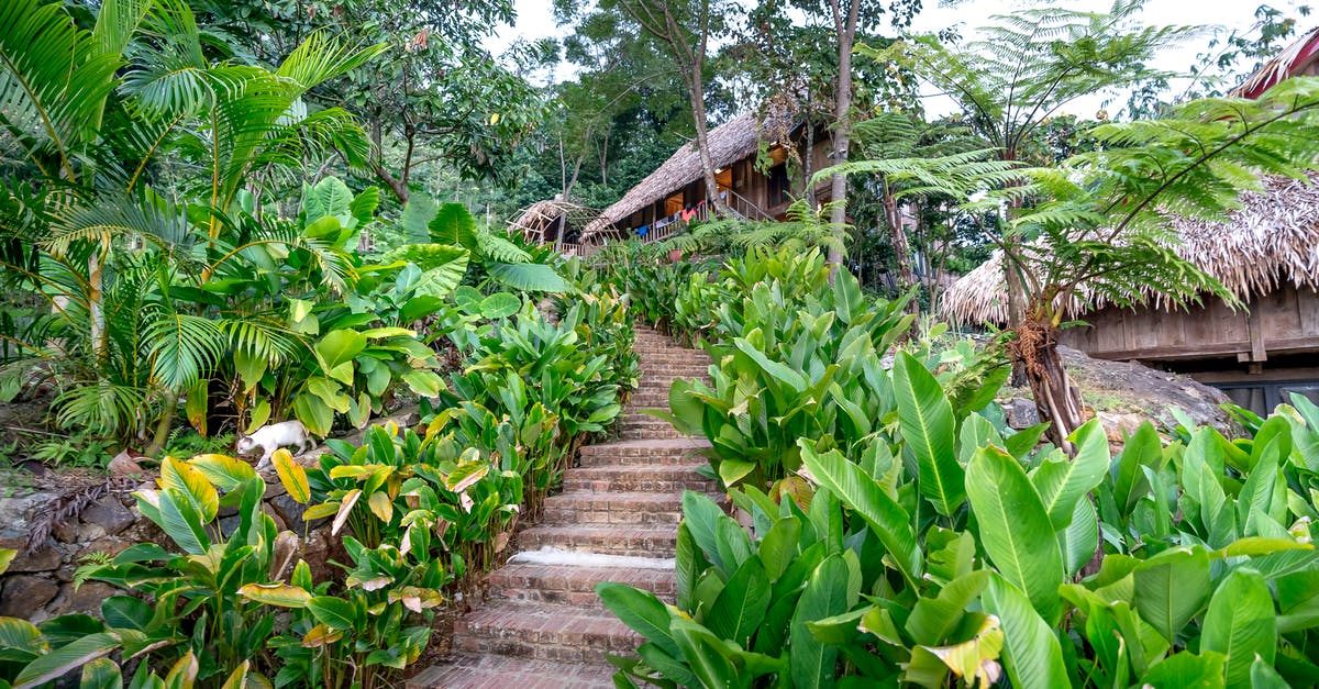 Schengen travel with residence permit but over 90 days - Stairs to hut among lush greenery Schengen travel with residence permit but over 90 days - Stairs to hut among lush greenery