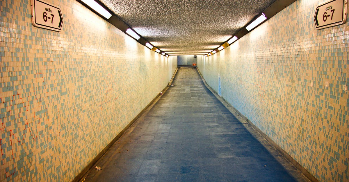 Schengen visa expired, best way to exit EU for going to Russia [duplicate] - Alley Photography of Grey Walkway
