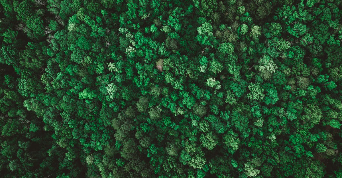 Schengen visa main country for a mix of tourism/family visits - Drone view of mixed green forest Schengen visa main country for a mix of tourism/family visits - Drone view of mixed green forest