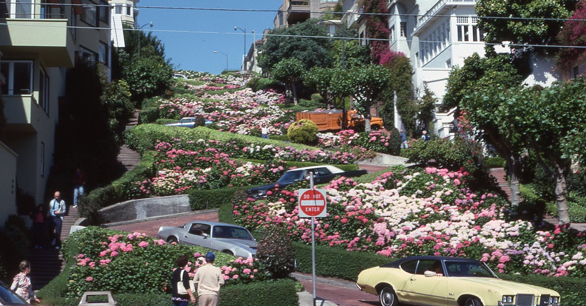 Schengen visa through Swiss consulate in San Francisco - Lombard Street S.F. 1980 Schengen visa through Swiss consulate in San Francisco - Lombard Street S.F. 1980